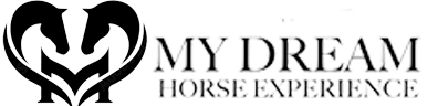 My Dream Horse Riding